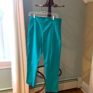 Attyre Turquoise Pants size 10